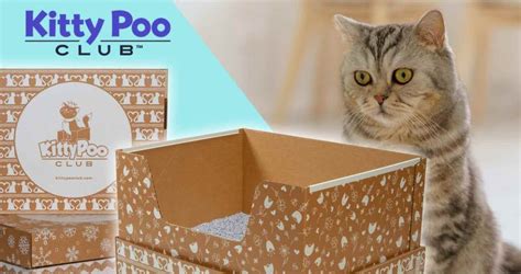 Kitty Poo Club: The Cat Litter Box Subscription Service Reviewed (2023 ...