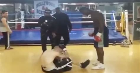 VIDEO | Heavyweight boxing champion Deontay Wilder teaches Internet troll Charlie Zelenoff a ...