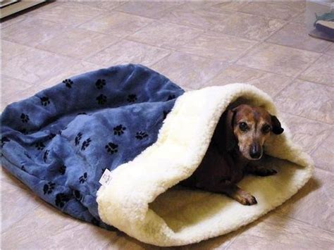 Medium Sleeping Bag For That Pet That Loves To Burrow pets | Etsy | Dog sleeping bag, Snuggle ...