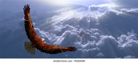 25,272 Soaring Eagle Images, Stock Photos, 3D objects, & Vectors | Shutterstock