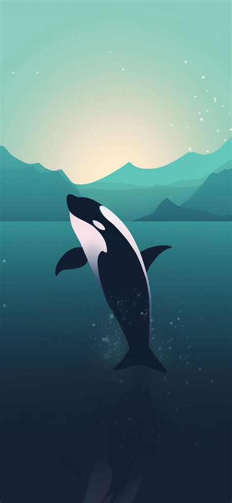 Orca Blue Minimalist Wallpapers - Orca Wallpaper for iPhone 4k