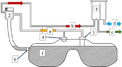 Connection schematic of the carbon canister to the combined fuel tank... | Download Scientific ...