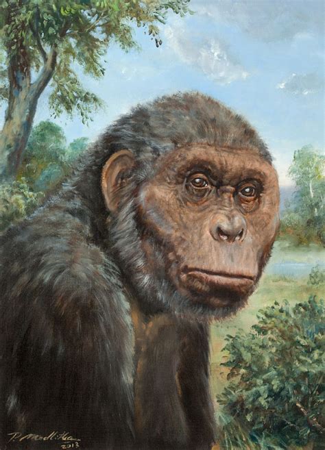 Ardipithecus ramidus by Petr Modlitba | Hominid, Prehistoric man, Prehistoric world