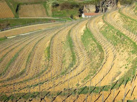 Contour Farming Guide: What is Contour Farming?, How to Start from Scratch for Beginners