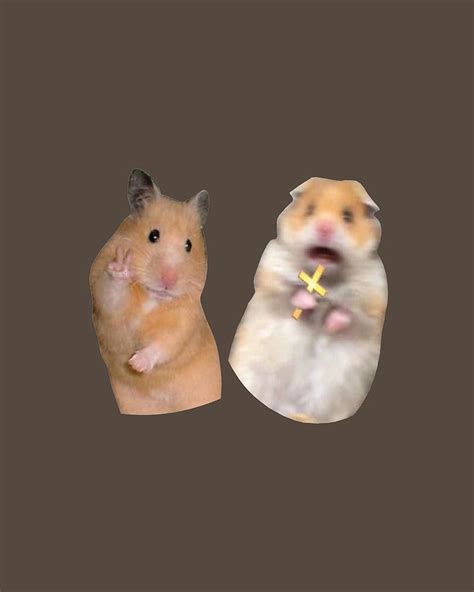 Scared Hamster Meme Digital Art by Soufiane Banoun - Pixels