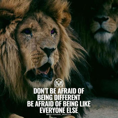 Top 999+ lion quotes images – Amazing Collection lion quotes images Full 4K