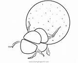 Dung Beetle Coloring Page For Kids  Free Beetles Printable sketch template