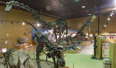 Museum – Wyoming Dinosaur Center