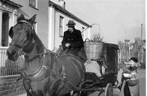 Horse Drawn Cab, Barnstaple; 1930-1939; 73 | eHive