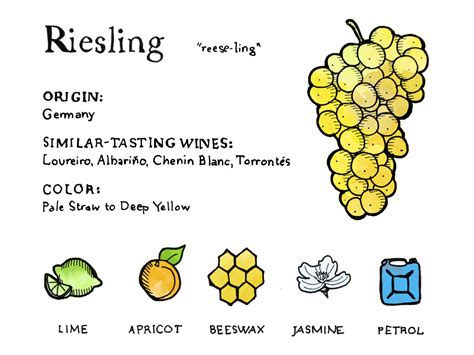 Bring On The Dry Riesling | Wine Folly