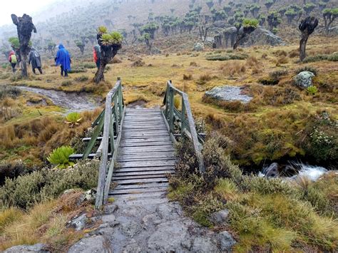 Hike 041: Mount Kenya – Hiking Adventures