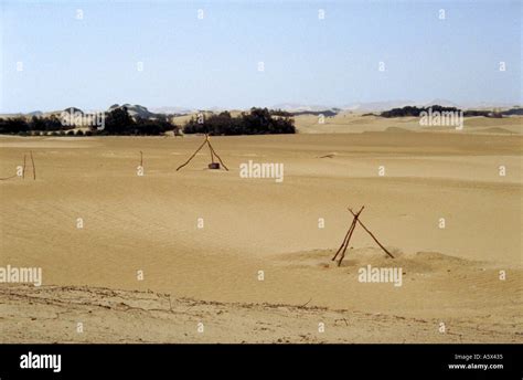 Oasis in the Peruvian Desert, Peru Stock Photo - Alamy