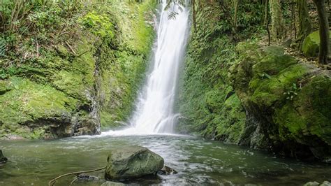 Waterfall Forestry Pond - Free photo on Pixabay - Pixabay