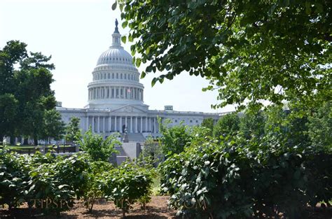 Tips for U.S. Capitol Tours - Tips For Family Trips