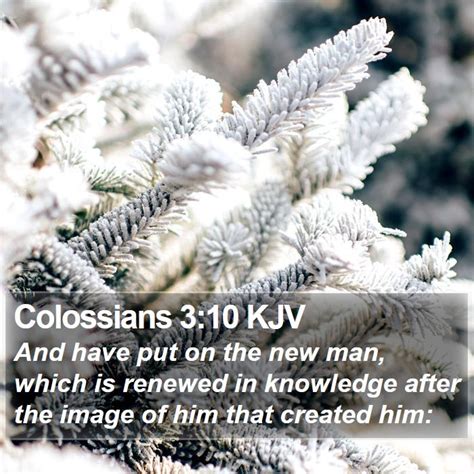 Colossians 3:10 KJV Bible Verse Images