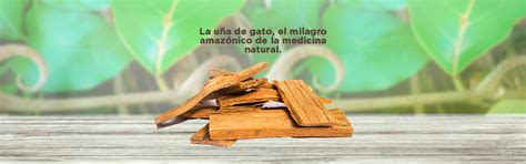 Fructus Terrum Natural Ingredients - La Uña de gato, el milagro ...