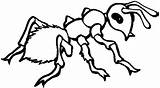 Ant Coloring Pages For Kids  Home sketch template