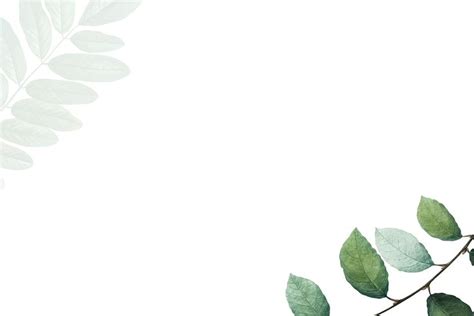 Tropical botanic leaves background illustration | premium image by rawpixel.com / … | Leaf ...