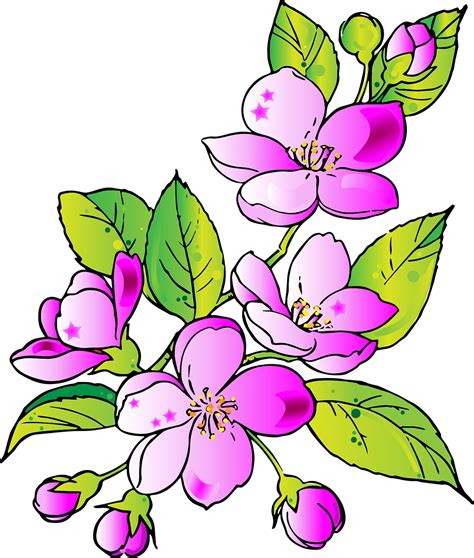 Pink Flowers Drawing With Leaves Design, Natural Floral Nature Plant ...