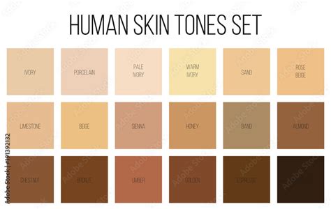 Procreate Skin Tones Color Palette Bundle | lupon.gov.ph