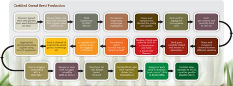 Production Process of Certified Seed - Irish Seed Trade Association