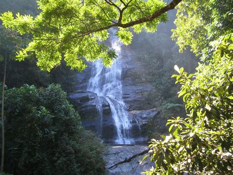 BRAZIL BY LOCALS: Tijuca Forest. Rio de Janeiro. Southeast.