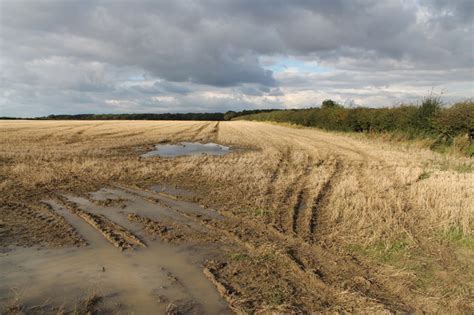 Muddy Field near Firs Farm © J.Hannan-Briggs cc-by-sa/2.0 :: Geograph Britain and Ireland