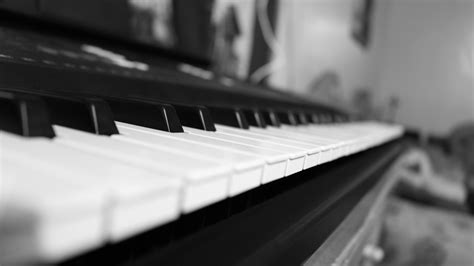 Free Images : musical instrument, musical keyboard, black and white, electronic instrument ...