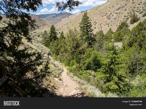 Dirt Hiking Trail Image & Photo (Free Trial) | Bigstock