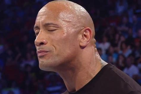 The Rock's surgery to repair abdominal tears from WrestleMania 29 match with John Cena was a ...