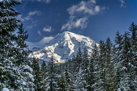 Rainier Snow | Mount Rainier National Park | Joseph C. Filer Fine Art ...