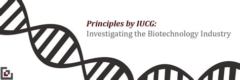 Principles by IUCG: Investigating the Biotechnology Industry – Isenberg ...