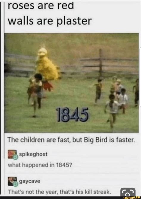 Roses are red walls are plaster The children are fast, but Big Bird is ...