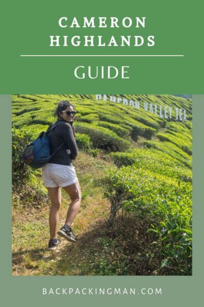 Cameron Highlands Trip For One Day (Best Things To Do)