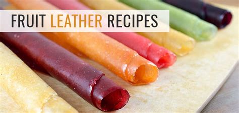 How to Make Fruit Leather Using a Dehydrator? - Food Dehydrator Recipes