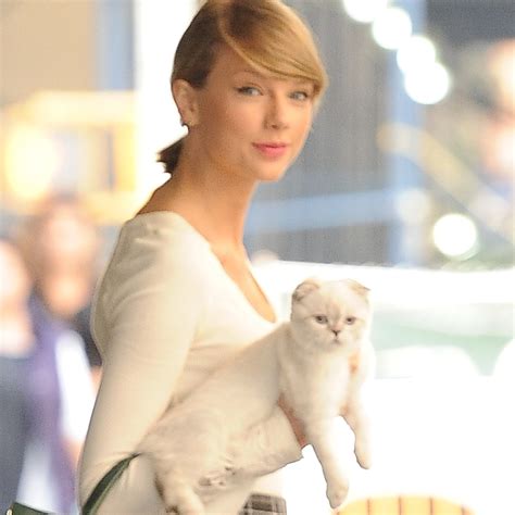 Taylor Swift's Cats | POPSUGAR Celebrity