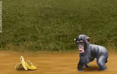 Monkey Banana GIF - Monkey Banana - Discover & Share GIFs