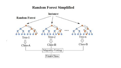 Random Forest Algorithm In Machine Learning