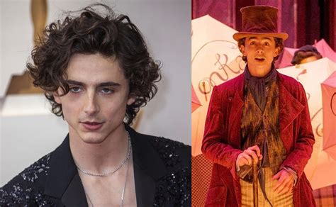 Qué películas ha hecho Timothée Chalamet y estreno de Wonka