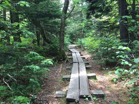 Two Massachusetts trails named best in America to hike during fall, according to Conde Nast ...