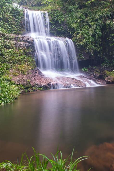 The Forest Streams and Waterfalls Stock Photo - Image of mist, moss ...