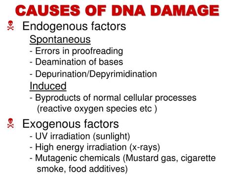 PPT - DNA REPAIR PowerPoint Presentation - ID:5612035