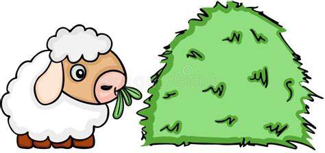 Sheep eating grass stock vector. Illustration of farm - 14264662