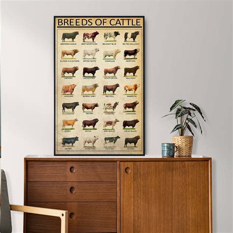 Breeds of Cattle Poster Cattle Lover Gift Cattle Vintage - Etsy