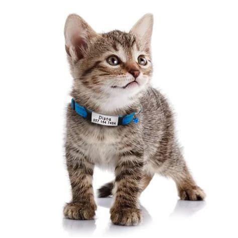 Buy Personalized Nylon Cat Collars Necklace With Name ID Tag Online