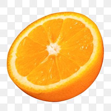 Orange Png - Download orange png images transparent gallery. - Kopler Mambu