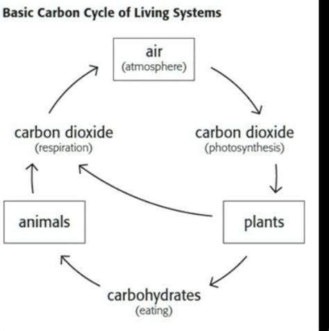 SOLVED: 'What is green house effect?B) Draw a well labeled diagram of ...