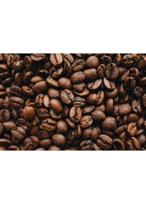 Discover the Best Dark Roast Coffee: Our Top Picks Reviewed