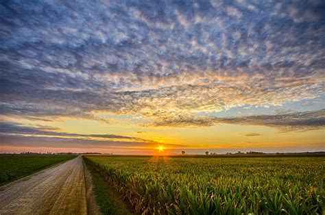 Indiana-Cornfield-Sunset, road side view, sunset, blue sky, cornfield ...