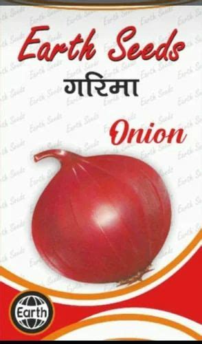 Red Onion Seeds at Rs 900/kg | Dawa Bazar | Indore | ID: 2848956607730